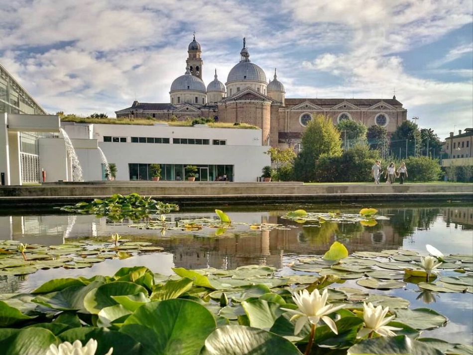 Qual è il periodo migliore per visitare l'Orto Botanico di Padova?
